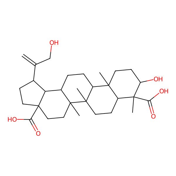 2D Structure of 9-Hydroxy-1-(3-hydroxyprop-1-en-2-yl)-5a,5b,8,11a-tetramethyl-1,2,3,4,5,6,7,7a,9,10,11,11b,12,13,13a,13b-hexadecahydrocyclopenta[a]chrysene-3a,8-dicarboxylic acid