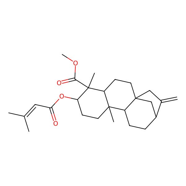 2D Structure of methyl (1S,4S,5S,6S,9S,10R,13R)-5,9-dimethyl-6-(3-methylbut-2-enoyloxy)-14-methylidenetetracyclo[11.2.1.01,10.04,9]hexadecane-5-carboxylate