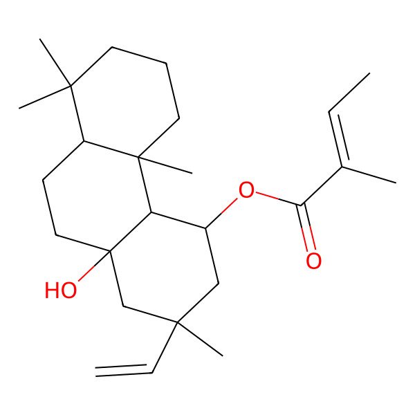 2D Structure of (2-Ethenyl-10a-hydroxy-2,4b,8,8-tetramethyl-1,3,4,4a,5,6,7,8a,9,10-decahydrophenanthren-4-yl) 2-methylbut-2-enoate 2D Structure of (2-Ethenyl-10a-hydroxy-2,4b,8,8-tetramethyl-1,3,4,4a,5,6,7,8a,9,10-decahydrophenanthren-4-yl) 2-methylbut-2-enoate