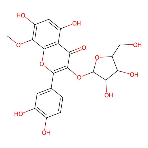 2D Structure of 3-[(2S,3R,4S,5S)-3,4-dihydroxy-5-(hydroxymethyl)oxolan-2-yl]oxy-2-(3,4-dihydroxyphenyl)-5,7-dihydroxy-8-methoxychromen-4-one