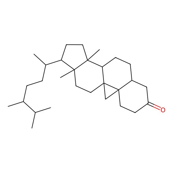 2D Structure of (1S,3R,8S,11S,12S,15R,16R)-15-[(2R,5R)-5,6-dimethylheptan-2-yl]-12,16-dimethylpentacyclo[9.7.0.01,3.03,8.012,16]octadecan-6-one