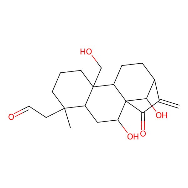 2D Structure of 2-[2,16-Dihydroxy-9-(hydroxymethyl)-5-methyl-14-methylidene-15-oxo-5-tetracyclo[11.2.1.01,10.04,9]hexadecanyl]acetaldehyde