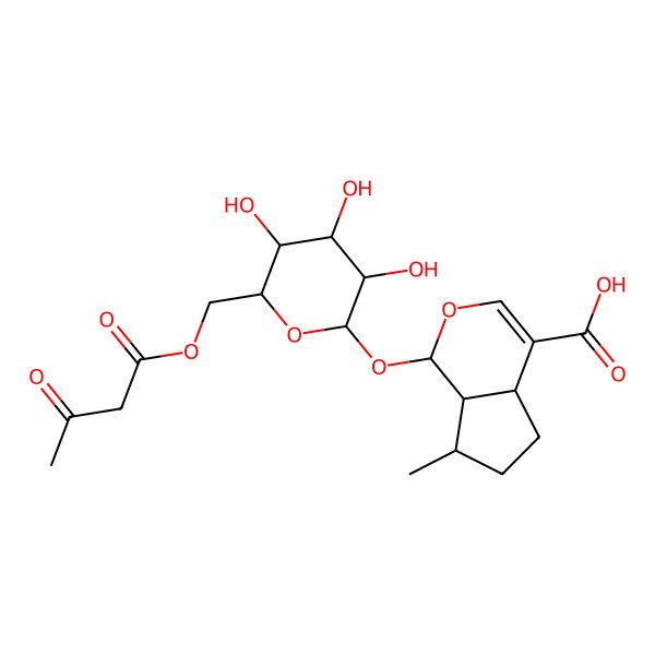 2D Structure of 7-Methyl-1-[3,4,5-trihydroxy-6-(3-oxobutanoyloxymethyl)oxan-2-yl]oxy-1,4a,5,6,7,7a-hexahydrocyclopenta[c]pyran-4-carboxylic acid