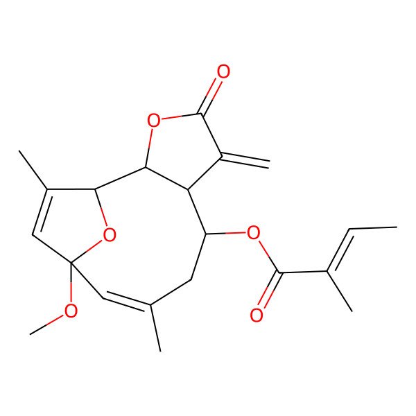 2D Structure of [(1S,2S,6R,7S,9Z,11R)-11-methoxy-9,13-dimethyl-5-methylidene-4-oxo-3,14-dioxatricyclo[9.2.1.02,6]tetradeca-9,12-dien-7-yl] (E)-2-methylbut-2-enoate