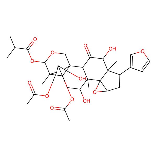 2D Structure of [20,21-Diacetyloxy-6-(furan-3-yl)-4,12,19-trihydroxy-5,11,15-trimethyl-3-oxo-9,17-dioxahexacyclo[13.3.3.01,14.02,11.05,10.08,10]henicosan-16-yl] 2-methylpropanoate
