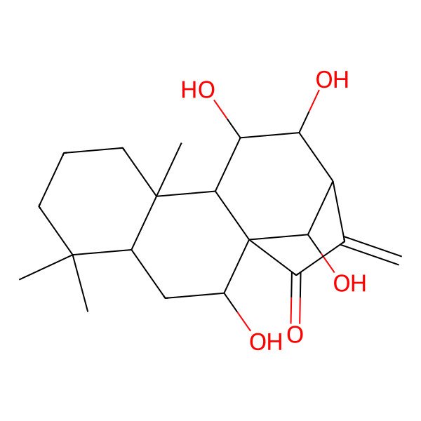 2D Structure of (1R,2R,4R,9R,10S,11R,12R,13R,16R)-2,11,12,16-tetrahydroxy-5,5,9-trimethyl-14-methylidenetetracyclo[11.2.1.01,10.04,9]hexadecan-15-one