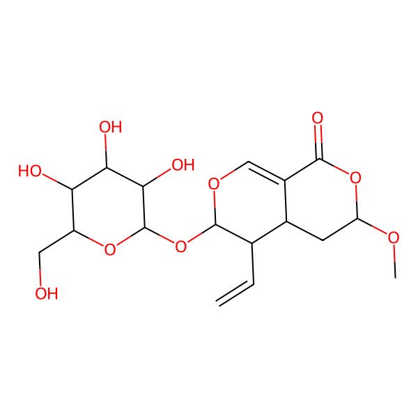 2D Structure of (3S,4aR,5R,6S)-5-ethenyl-3-methoxy-6-[(2S,3R,4S,5S,6R)-3,4,5-trihydroxy-6-(hydroxymethyl)oxan-2-yl]oxy-4,4a,5,6-tetrahydro-3H-pyrano[3,4-c]pyran-1-one