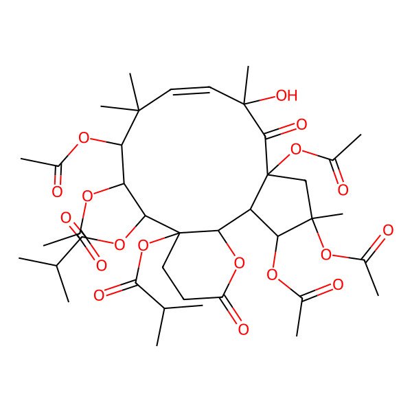 2D Structure of [(1R,2R,3R,4R,6R,8R,9E,12S,13S,14R,15S)-3,4,6,12,13-pentaacetyloxy-8-hydroxy-4,8,11,11-tetramethyl-15-(2-methylpropanoyloxy)-7,18-dioxo-19-oxatricyclo[13.4.0.02,6]nonadec-9-en-14-yl] 2-methylpropanoate