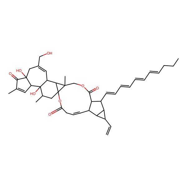 2D Structure of (1S,5E,7S,8S,9S,10R,11S,12R,16S,17R,18S,22R,26S,27R,28R)-9-ethenyl-22,27-dihydroxy-20-(hydroxymethyl)-16,24,28-trimethyl-11-[(1E,3E,5E,7E)-undeca-1,3,5,7-tetraenyl]-2,14-dioxaheptacyclo[14.13.0.01,17.07,12.08,10.018,27.022,26]nonacosa-5,19,24-triene-3,13,23-trione