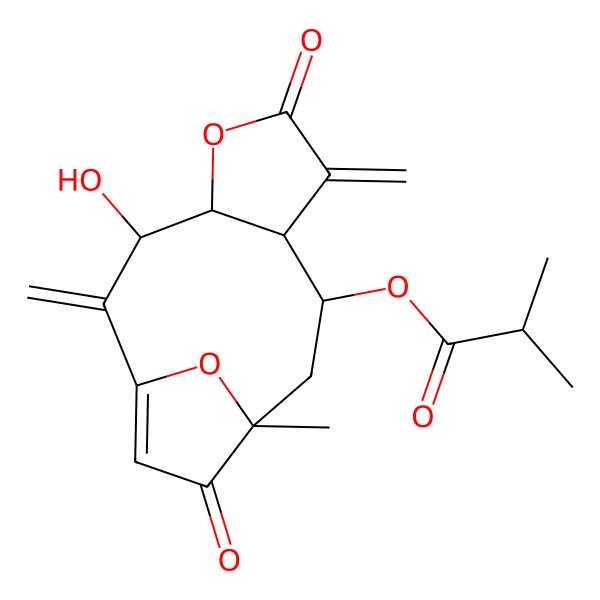 2D Structure of (3-Hydroxy-11-methyl-2,7-dimethylidene-6,12-dioxo-5,14-dioxatricyclo[9.2.1.04,8]tetradec-1(13)-en-9-yl) 2-methylpropanoate