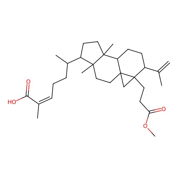 2D Structure of (Z,6R)-6-[(1S,4R,5R,8S,9S,12S,13R)-13-(3-methoxy-3-oxopropyl)-4,8-dimethyl-12-prop-1-en-2-yl-5-tetracyclo[7.5.0.01,13.04,8]tetradecanyl]-2-methylhept-2-enoic acid