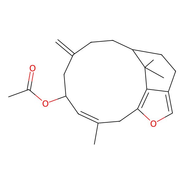 2D Structure of (3,17,17-Trimethyl-7-methylidene-15-oxatricyclo[8.5.2.013,16]heptadeca-1(16),3,13-trien-5-yl) acetate