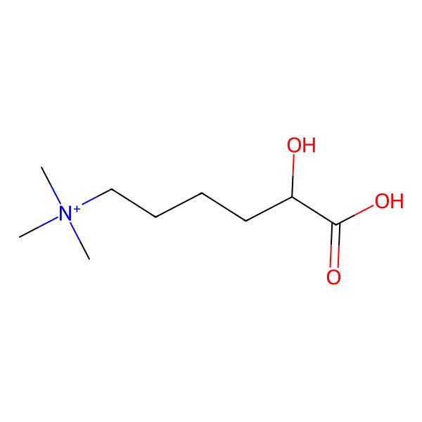 2D Structure of [(5R)-5-carboxy-5-hydroxypentyl]-trimethylazanium
