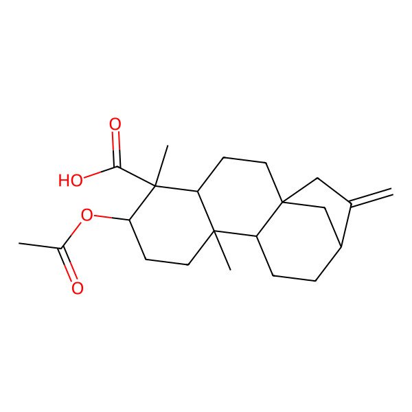 2D Structure of 6-Acetyloxy-5,9-dimethyl-14-methylidenetetracyclo[11.2.1.01,10.04,9]hexadecane-5-carboxylic acid