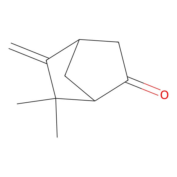 2D Structure of 6-Camphenone 2D Structure of 6-Camphenone