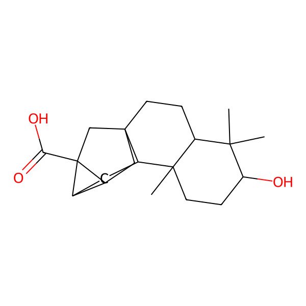 2D Structure of 6-Hydroxy-5,5,9-trimethylpentacyclo[11.2.1.01,10.04,9.012,14]hexadecane-13-carboxylic acid