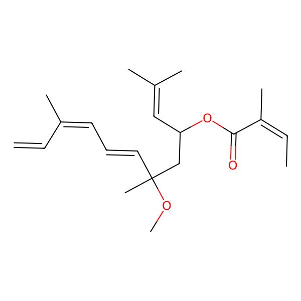 2D Structure of (6-Methoxy-2,6,10-trimethyldodeca-2,7,9,11-tetraen-4-yl) 2-methylbut-2-enoate 2D Structure of (6-Methoxy-2,6,10-trimethyldodeca-2,7,9,11-tetraen-4-yl) 2-methylbut-2-enoate