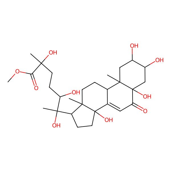 2D Structure of methyl (2S,5R,6R)-2,5,6-trihydroxy-2-methyl-6-[(2S,3R,5S,9R,10R,13R,14S,17S)-2,3,5,14-tetrahydroxy-10,13-dimethyl-6-oxo-1,2,3,4,9,11,12,15,16,17-decahydrocyclopenta[a]phenanthren-17-yl]heptanoate