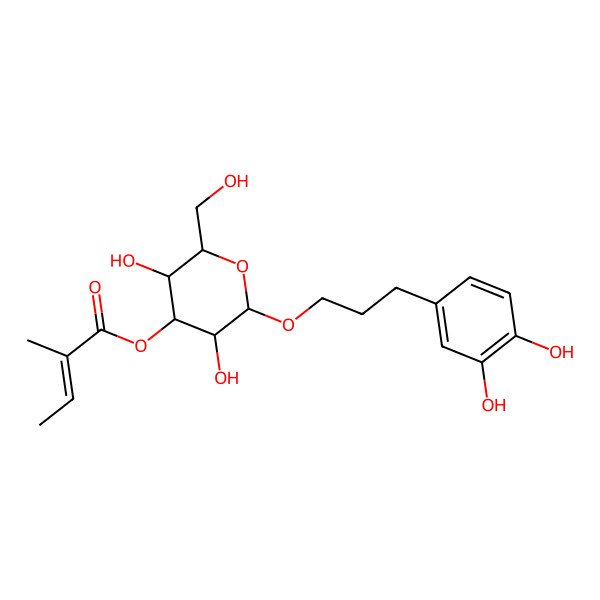 2D Structure of [(2R,3R,4S,5R,6R)-2-[3-(3,4-dihydroxyphenyl)propoxy]-3,5-dihydroxy-6-(hydroxymethyl)oxan-4-yl] (E)-2-methylbut-2-enoate
