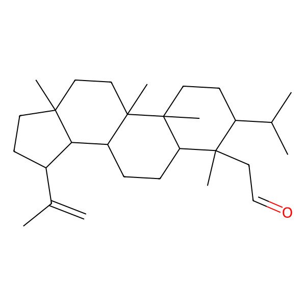 2D Structure of 2-[(3S,4S,5R,8R,9R,10R,13R,14R,15R)-4,9,10,13-tetramethyl-3-propan-2-yl-15-prop-1-en-2-yl-2,3,5,6,7,8,11,12,14,15,16,17-dodecahydro-1H-cyclopenta[a]phenanthren-4-yl]acetaldehyde