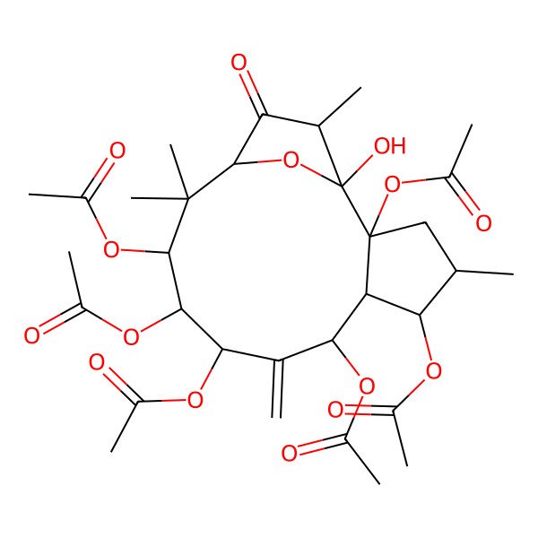 2D Structure of [(1R,2R,4S,5S,6R,7R,9R,10S,11S,13R,15S)-2,7,9,10,11-pentaacetyloxy-1-hydroxy-4,12,12,15-tetramethyl-8-methylidene-14-oxo-16-oxatricyclo[11.2.1.02,6]hexadecan-5-yl] acetate