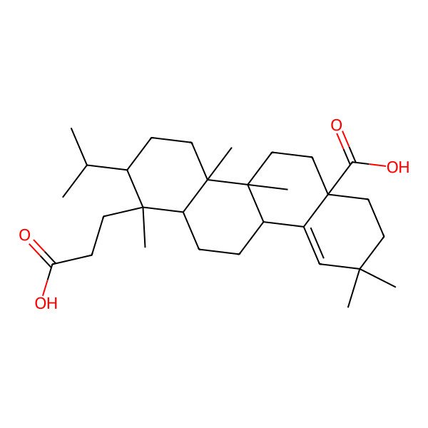 2D Structure of 1-(2-carboxyethyl)-1,4a,4b,9,9-pentamethyl-2-propan-2-yl-3,4,5,6,7,8,10b,11,12,12a-decahydro-2H-chrysene-6a-carboxylic acid 2D Structure of 1-(2-carboxyethyl)-1,4a,4b,9,9-pentamethyl-2-propan-2-yl-3,4,5,6,7,8,10b,11,12,12a-decahydro-2H-chrysene-6a-carboxylic acid