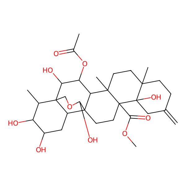 2D Structure of methyl (1S,2S,3S,4R,5R,8R,13S,14S,17S,18R,20R,21R,22R,25S)-3-acetyloxy-2,13,20,21,25-pentahydroxy-5,8,22-trimethyl-11-methylidene-24-oxahexacyclo[15.5.3.01,18.04,17.05,14.08,13]pentacosane-14-carboxylate