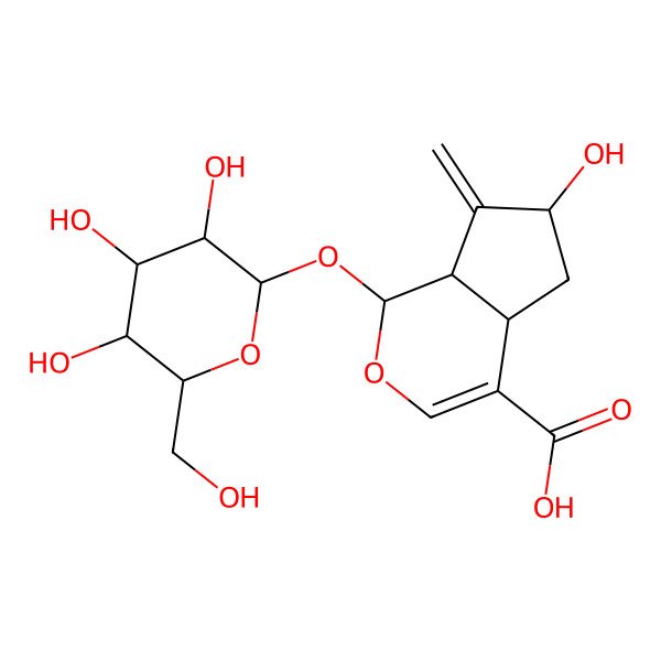 2D Structure of (1S,4aS,6S,7aS)-6-hydroxy-7-methylidene-1-[(2S,3S,4R,5S,6R)-3,4,5-trihydroxy-6-(hydroxymethyl)oxan-2-yl]oxy-4a,5,6,7a-tetrahydro-1H-cyclopenta[c]pyran-4-carboxylic acid
