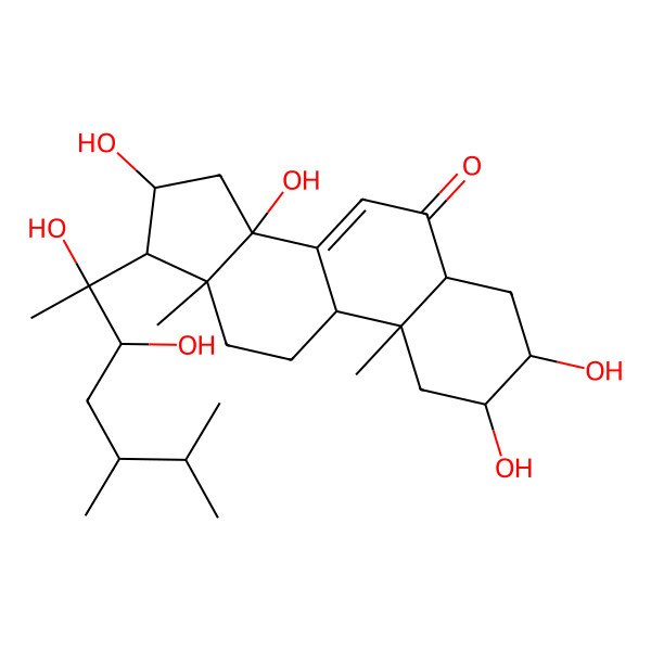 2D Structure of (2S,3R,5R,9R,10R,13R,14S,16S,17R)-17-[(2R,3R)-2,3-dihydroxy-5,6-dimethylheptan-2-yl]-2,3,14,16-tetrahydroxy-10,13-dimethyl-2,3,4,5,9,11,12,15,16,17-decahydro-1H-cyclopenta[a]phenanthren-6-one