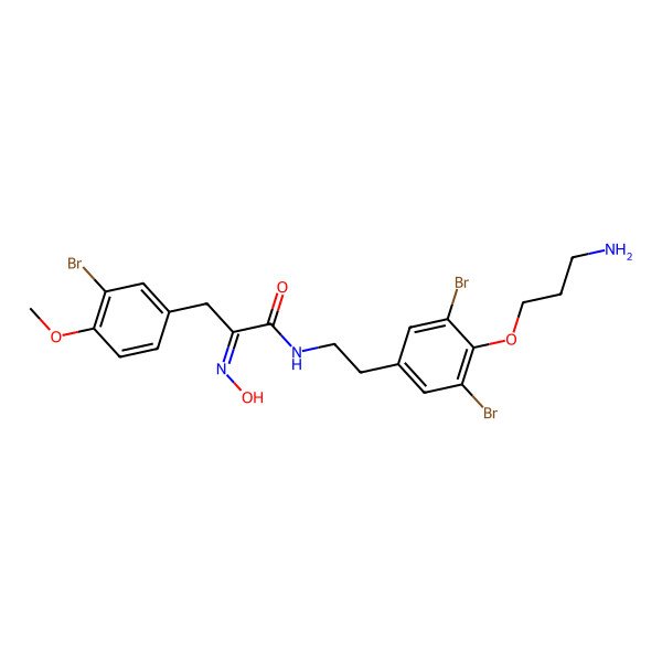2D Structure of N-[2-[4-(3-aminopropoxy)-3,5-dibromophenyl]ethyl]-3-(3-bromo-4-methoxyphenyl)-2-hydroxyiminopropanamide