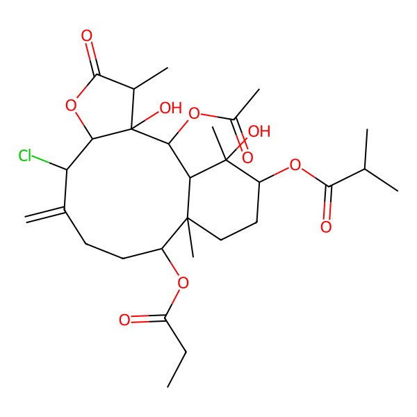 2D Structure of (2-Acetyloxy-8-chloro-3,17-dihydroxy-4,13,17-trimethyl-9-methylidene-5-oxo-12-propanoyloxy-6-oxatricyclo[11.4.0.03,7]heptadecan-16-yl) 2-methylpropanoate