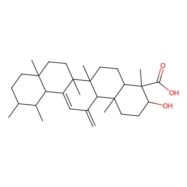 2D Structure of (3R,4R,4aR,6aR,6bS,8aR,11R,12S,12aR,14aR,14bS)-3-hydroxy-4,6a,6b,8a,11,12,14b-heptamethyl-14-methylidene-1,2,3,4a,5,6,7,8,9,10,11,12,12a,14a-tetradecahydropicene-4-carboxylic acid