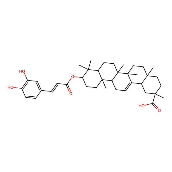 2D Structure of (2S,4aS,6aR,6aS,6bR,8aR,10R,12aR,14bR)-10-[(E)-3-(3,4-dihydroxyphenyl)prop-2-enoyl]oxy-2,4a,6a,6b,9,9,12a-heptamethyl-1,3,4,5,6,6a,7,8,8a,10,11,12,13,14b-tetradecahydropicene-2-carboxylic acid