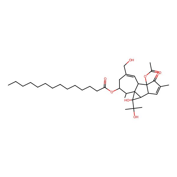 2D Structure of [(1S,2R,3S,4R,8S,9S,13S,14R)-8-acetyloxy-2-hydroxy-11-(hydroxymethyl)-2-(2-hydroxypropan-2-yl)-6,14-dimethyl-7-oxo-13-tetracyclo[7.5.0.01,3.04,8]tetradeca-5,10-dienyl] tetradecanoate
