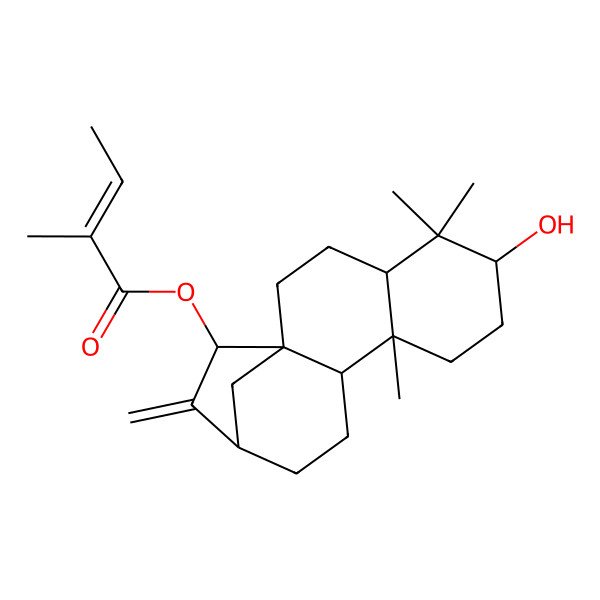 2D Structure of (6-Hydroxy-5,5,9-trimethyl-14-methylidene-15-tetracyclo[11.2.1.01,10.04,9]hexadecanyl) 2-methylbut-2-enoate