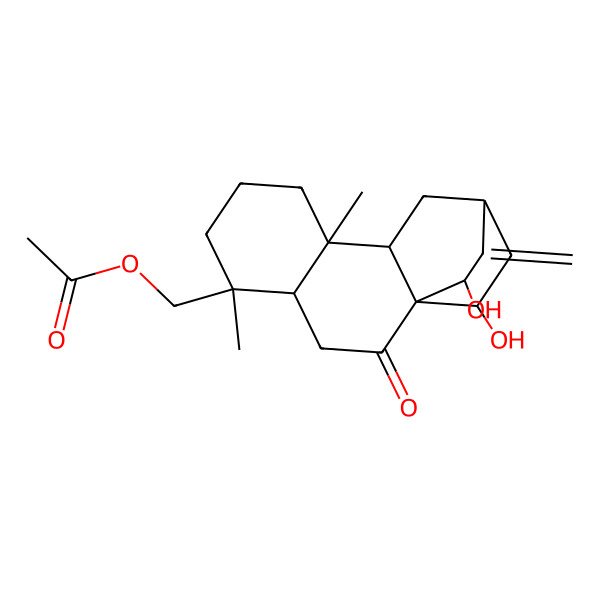 2D Structure of [(4S,5R,9R,10S,12R,14R,15R)-14,15-dihydroxy-5,9-dimethyl-13-methylidene-2-oxo-5-tetracyclo[10.2.2.01,10.04,9]hexadecanyl]methyl acetate