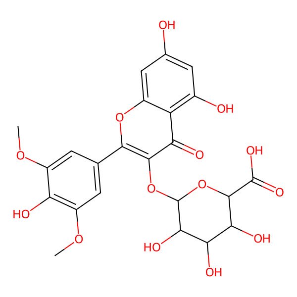 2D Structure of (2S,3S,4R,5S,6S)-6-[5,7-dihydroxy-2-(4-hydroxy-3,5-dimethoxyphenyl)-4-oxochromen-3-yl]oxy-3,4,5-trihydroxyoxane-2-carboxylic acid
