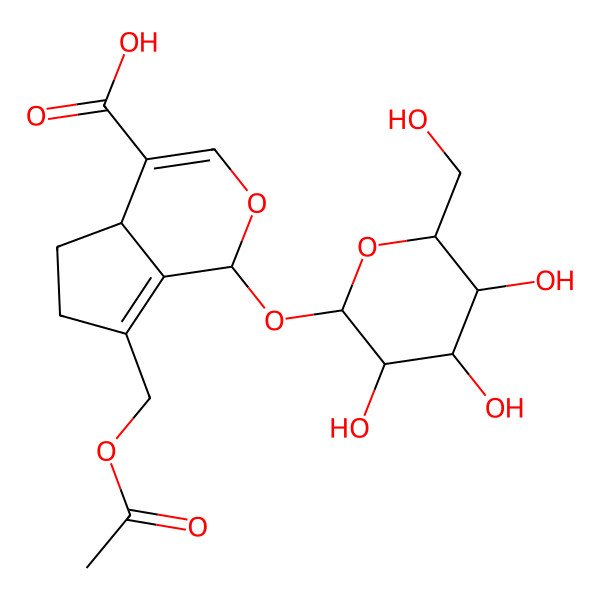 2D Structure of (1S,4aS)-7-(acetyloxymethyl)-1-[(2S,3R,4S,5S,6R)-3,4,5-trihydroxy-6-(hydroxymethyl)oxan-2-yl]oxy-1,4a,5,6-tetrahydrocyclopenta[c]pyran-4-carboxylic acid