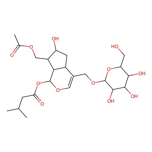 2D Structure of [(1S,4aS,6S,7S,7aS)-7-(acetyloxymethyl)-6-hydroxy-4-[[(2R,3R,4S,5S,6R)-3,4,5-trihydroxy-6-(hydroxymethyl)oxan-2-yl]oxymethyl]-1,4a,5,6,7,7a-hexahydrocyclopenta[c]pyran-1-yl] 3-methylbutanoate