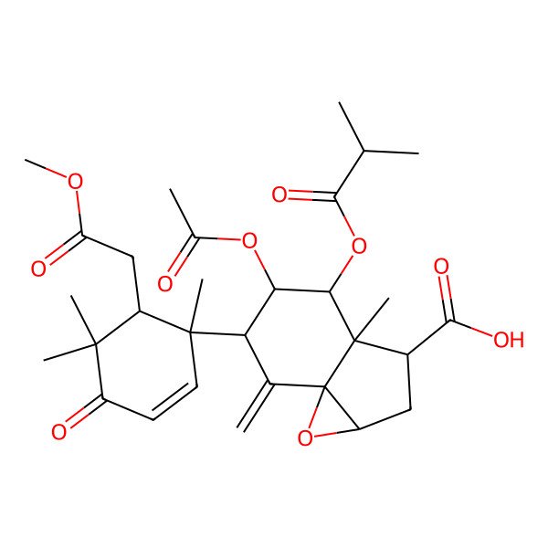 2D Structure of 5-Acetyloxy-6-[6-(2-methoxy-2-oxoethyl)-1,5,5-trimethyl-4-oxocyclohex-2-en-1-yl]-3a-methyl-7-methylidene-4-(2-methylpropanoyloxy)-1a,2,3,4,5,6-hexahydroindeno[3,3a-b]oxirene-3-carboxylic acid