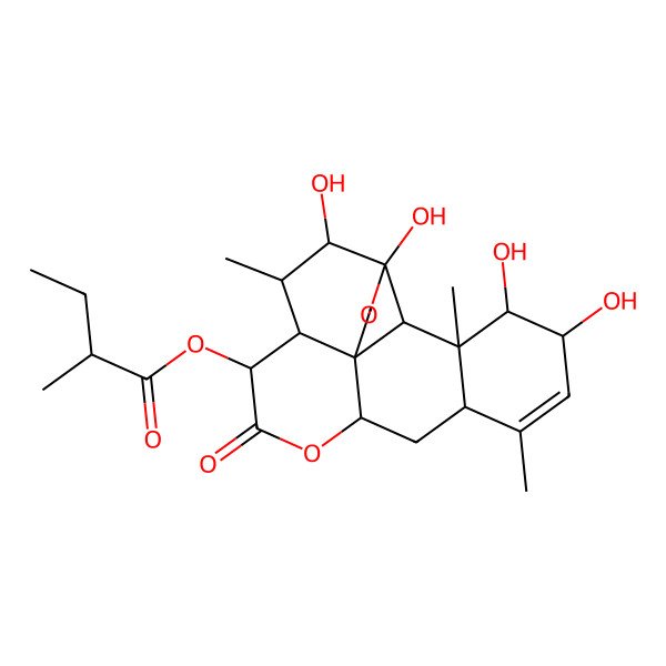 2D Structure of (4,5,16,17-Tetrahydroxy-6,14,18-trimethyl-9-oxo-3,10-dioxapentacyclo[9.8.0.01,7.04,19.013,18]nonadec-14-en-8-yl) 2-methylbutanoate