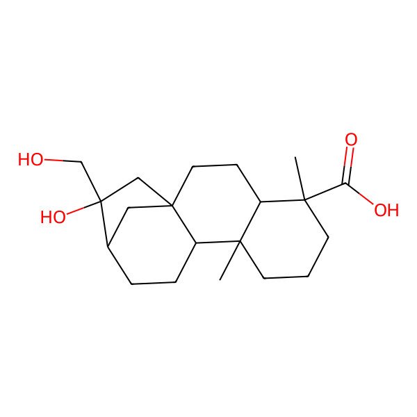 2D Structure of (1S,4S,5S,9S,10R,13R,14S)-14-hydroxy-14-(hydroxymethyl)-5,9-dimethyltetracyclo[11.2.1.01,10.04,9]hexadecane-5-carboxylic acid