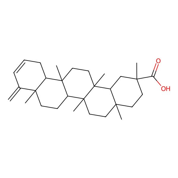 2D Structure of (2R,4aS,6aR,6aR,6bR,8aS,12aS,14aR,14bS)-2,4a,6a,6a,8a,14a-hexamethyl-9-methylidene-3,4,5,6,6b,7,8,12,12a,13,14,14b-dodecahydro-1H-picene-2-carboxylic acid 2D Structure of (2R,4aS,6aR,6aR,6bR,8aS,12aS,14aR,14bS)-2,4a,6a,6a,8a,14a-hexamethyl-9-methylidene-3,4,5,6,6b,7,8,12,12a,13,14,14b-dodecahydro-1H-picene-2-carboxylic acid