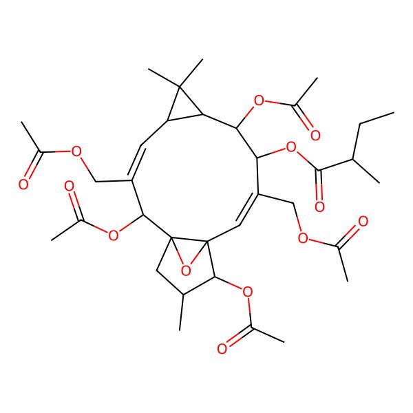 2D Structure of [(1S,2S,3E,5R,7S,8S,9R,10E,12S,13S,14S)-2,8,13-triacetyloxy-3,10-bis(acetyloxymethyl)-6,6,14-trimethyl-16-oxatetracyclo[10.3.1.01,12.05,7]hexadeca-3,10-dien-9-yl] (2R)-2-methylbutanoate