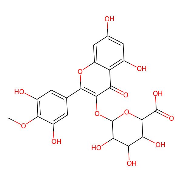 2D Structure of 6-[2-(3,5-Dihydroxy-4-methoxyphenyl)-5,7-dihydroxy-4-oxochromen-3-yl]oxy-3,4,5-trihydroxyoxane-2-carboxylic acid