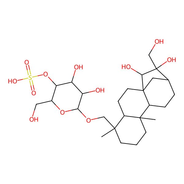 2D Structure of [(2R,3S,4R,5R,6R)-6-[[(1R,4S,5R,9R,10S,13R,14R,15R)-14,15-dihydroxy-14-(hydroxymethyl)-5,9-dimethyl-5-tetracyclo[11.2.1.01,10.04,9]hexadecanyl]methoxy]-4,5-dihydroxy-2-(hydroxymethyl)oxan-3-yl] hydrogen sulfate