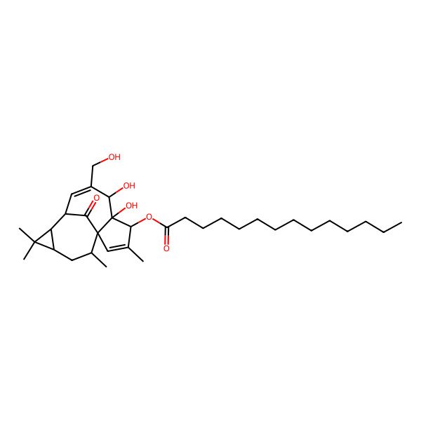 2D Structure of [(1S,4S,5S,6R,9S,10R,12R,14R)-5,6-dihydroxy-7-(hydroxymethyl)-3,11,11,14-tetramethyl-15-oxo-4-tetracyclo[7.5.1.01,5.010,12]pentadeca-2,7-dienyl] tetradecanoate