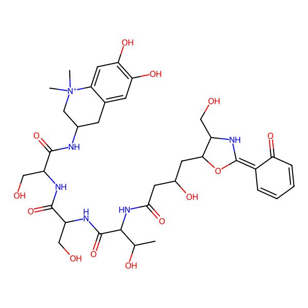2D Structure of (2S,3R)-N-[(2R)-1-[[(2S)-1-[(6,7-dihydroxy-1,1-dimethyl-3,4-dihydro-2H-quinolin-1-ium-3-yl)amino]-3-hydroxy-1-oxopropan-2-yl]amino]-3-hydroxy-1-oxopropan-2-yl]-3-hydroxy-2-[[3-hydroxy-4-[(2Z)-4-(hydroxymethyl)-2-(6-oxocyclohexa-2,4-dien-1-ylidene)-1,3-oxazolidin-5-yl]butanoyl]amino]butanamide