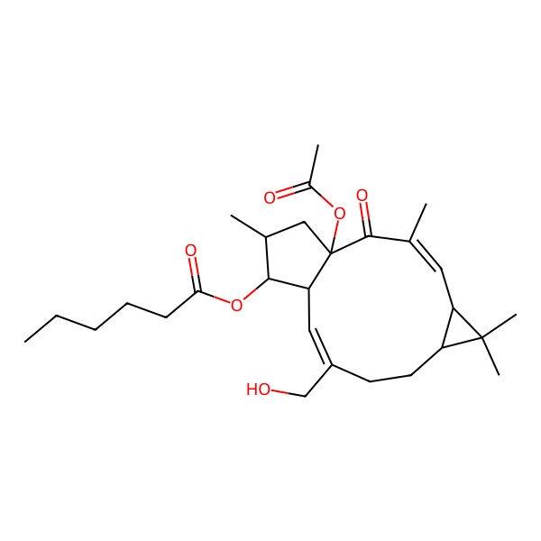 2D Structure of [1-Acetyloxy-10-(hydroxymethyl)-3,6,6,14-tetramethyl-2-oxo-13-tricyclo[10.3.0.05,7]pentadeca-3,10-dienyl] hexanoate
