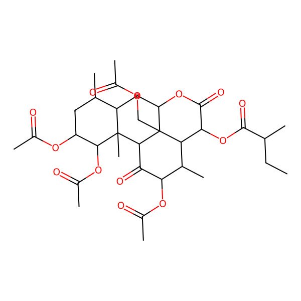 2D Structure of [(1R,2S,3S,4S,6R,7S,9R,12R,13S,14R,15R,17S)-3,4,15-triacetyloxy-17-(acetyloxymethyl)-2,6,14-trimethyl-11,16-dioxo-10-oxatetracyclo[7.7.1.02,7.013,17]heptadecan-12-yl] (2R)-2-methylbutanoate
